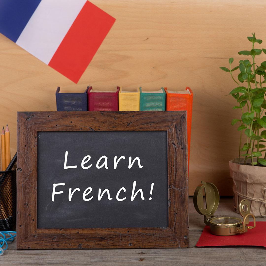 A1 Seviye Fransızca Eğitimi Sertifika Programı