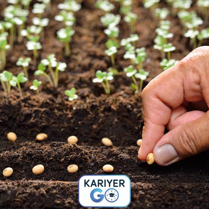 AÇIK TOHUMLU BİTKİLERİN YETİŞTİRİCİLİĞİ EĞİTİMİ