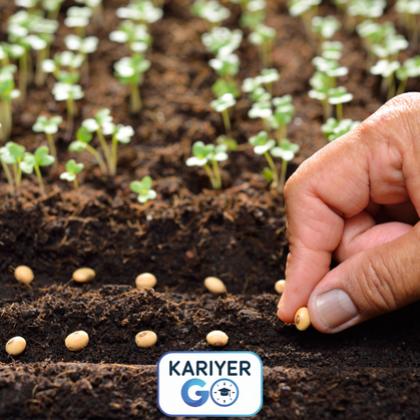 AÇIK TOHUMLU BİTKİLERİN YETİŞTİRİCİLİĞİ EĞİTİMİ